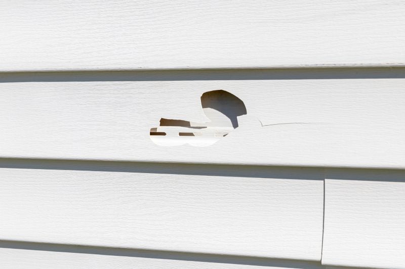 Repaired Vinyl Siding Section